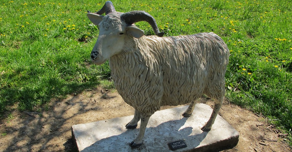 Pomník ovci z plemene valaška.