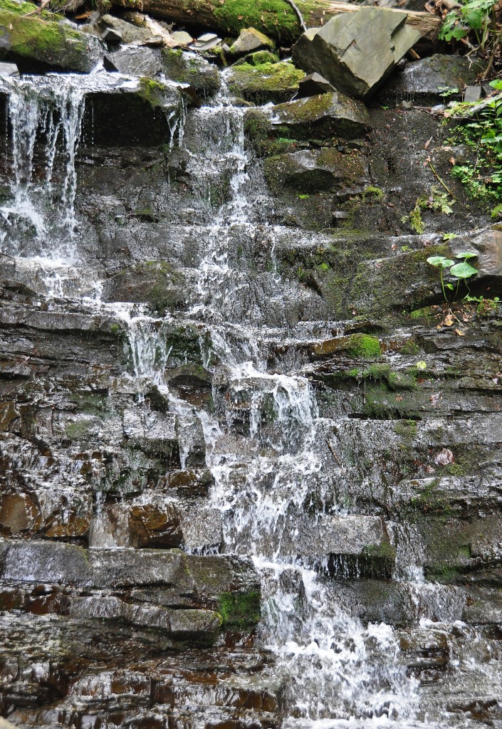 Bučací vodopád je ukryt v masivu beskydské hory Smrk.