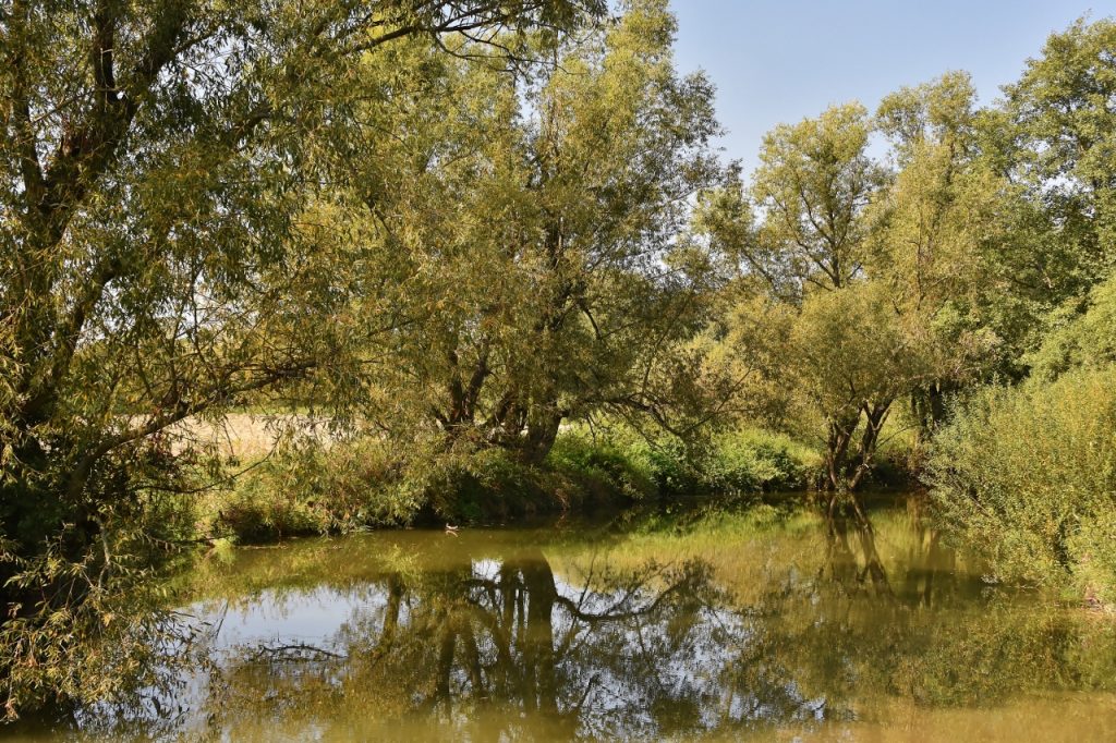 Bartošovické rybníky.
