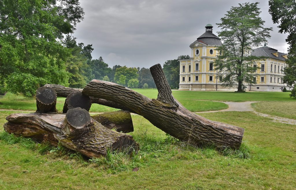 Zámek a ořešák.